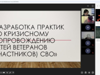 Рабочее совещание на тему: «Разработка практик по кризисному сопровождению детей ветеранов (участников) СВО»